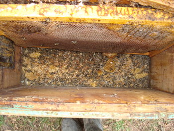 DSC09378.JPG