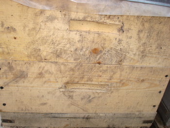 DSC09381.JPG