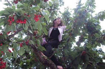 422926_333801359990195_1449401192_stupina lui florinelu.jpg