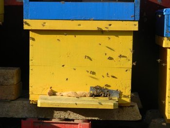 DSCN9764 (Small).JPG