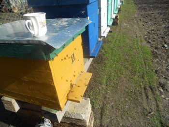 Picture 008.jpg