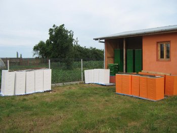 IMG_18071.JPG