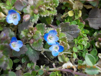 rsz_dscn0258.jpg