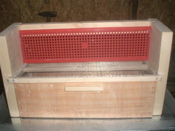 CIMG3317 (Large).JPG