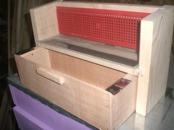 CIMG3319 (Large).JPG