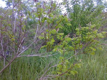 08052011020.jpg