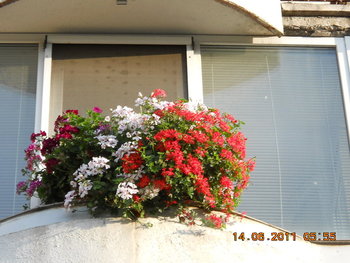 rsz_dscn0826.jpg