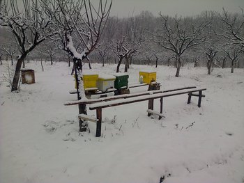 rsz_img-20130210-00017.jpg