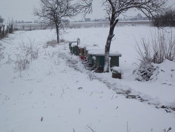 DSCF0344.jpg