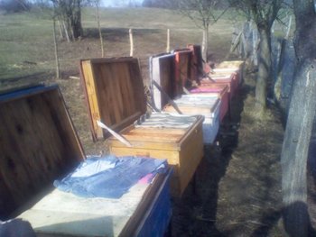 IMG_20130302_101149.jpg