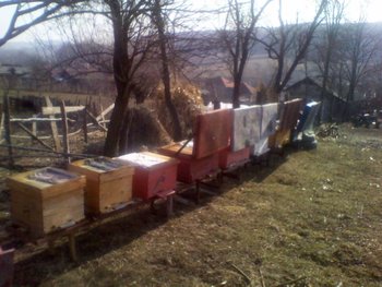IMG_20130302_101246.jpg