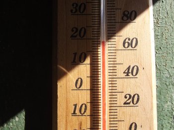 DSCF0433.jpg