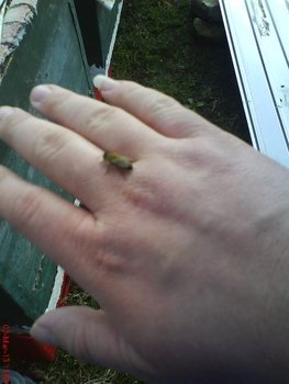DSC08368.JPG