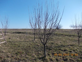 rsz_picture_128.jpg