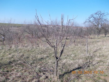 rsz_picture_129.jpg