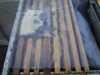 DSC02943 (Medium).JPG