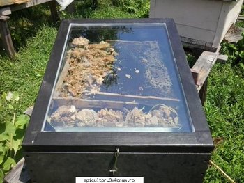 ok_19035.jpg