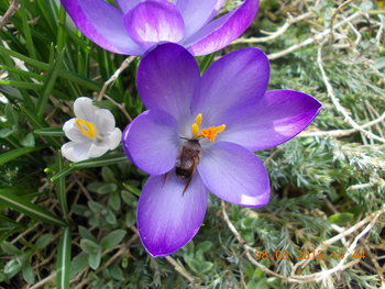 rsz_picture_105.jpg
