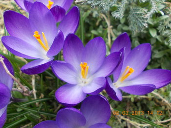 rsz_1picture_100.jpg