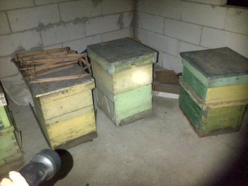 rsz_img-20130307-00050.jpg