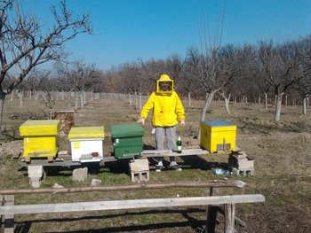 rsz_2013-03-05_140626.jpg