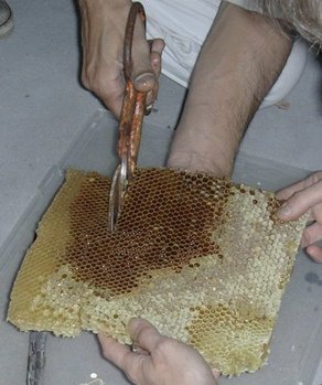 comtransfer_shaping.jpg