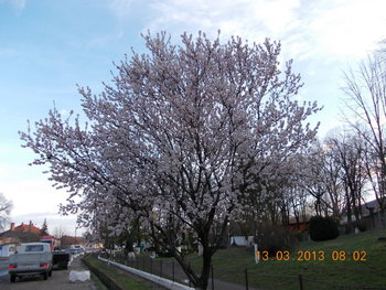 rsz_1picture_106.jpg