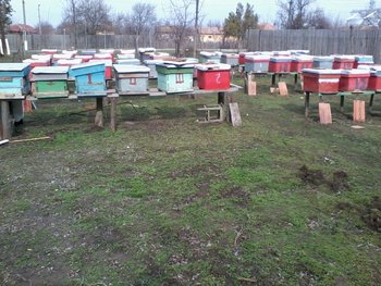 186.jpg