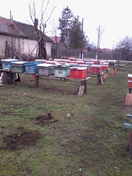 209.jpg