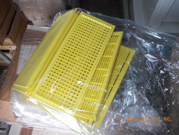 rsz_dscn0604.jpg