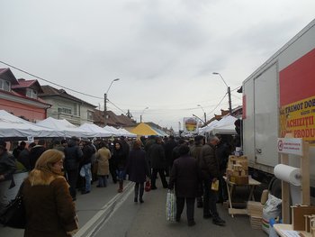 DSCN0782.jpg