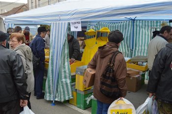 DSC_0329 (Medium).JPG