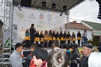 DSC_0379 (Medium).JPG