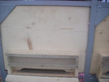 IMG_1866.JPG