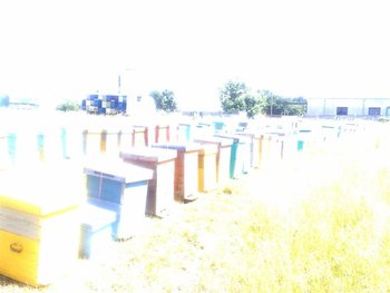 22062011652 (Medium).jpg