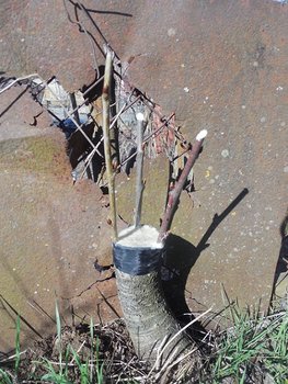 DSCN0768.JPG