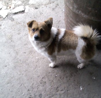IMG00076.jpg