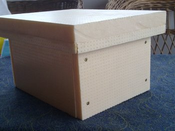 25032013598.jpg