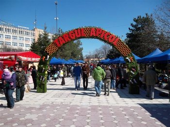 stupina mea 018 (Small).jpg