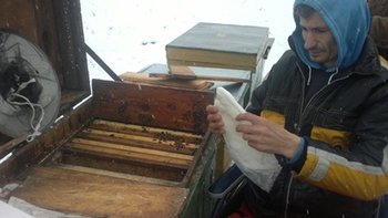 2013-03-26-229.jpg