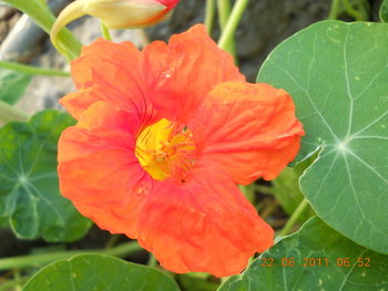 rsz_dscn0895.jpg