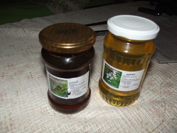 DSCF0535.jpg