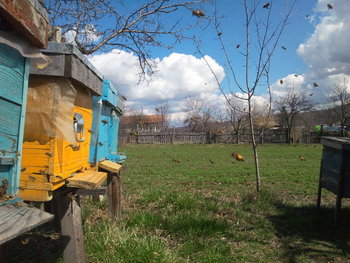 2013-04-01 13.21.16.jpg