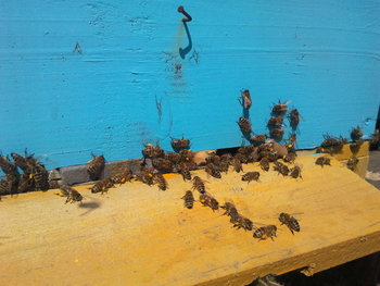 2013-04-01 13.20.47.jpg