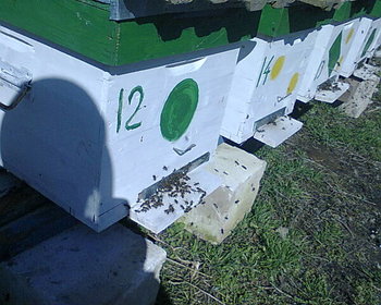 Foto0592.jpg