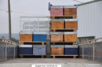 transport 1.jpg