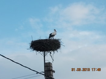 foto comeat 008.JPG