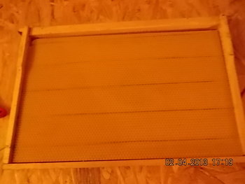 foto comeat 014.JPG