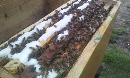 20130409_145520.jpg