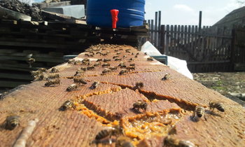 2013-04-10 14.46.45.jpg